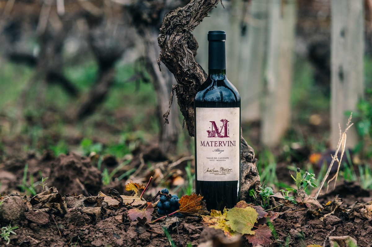 ZOOM Virtual Tasting with master winemaker Santiago Achával! Chaine